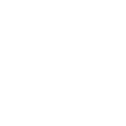 Team Collaboration